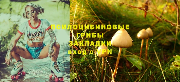 мескалин Баксан