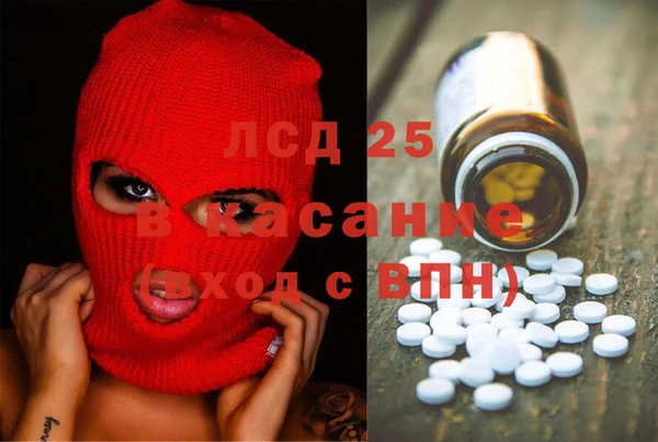 гашик Сатка